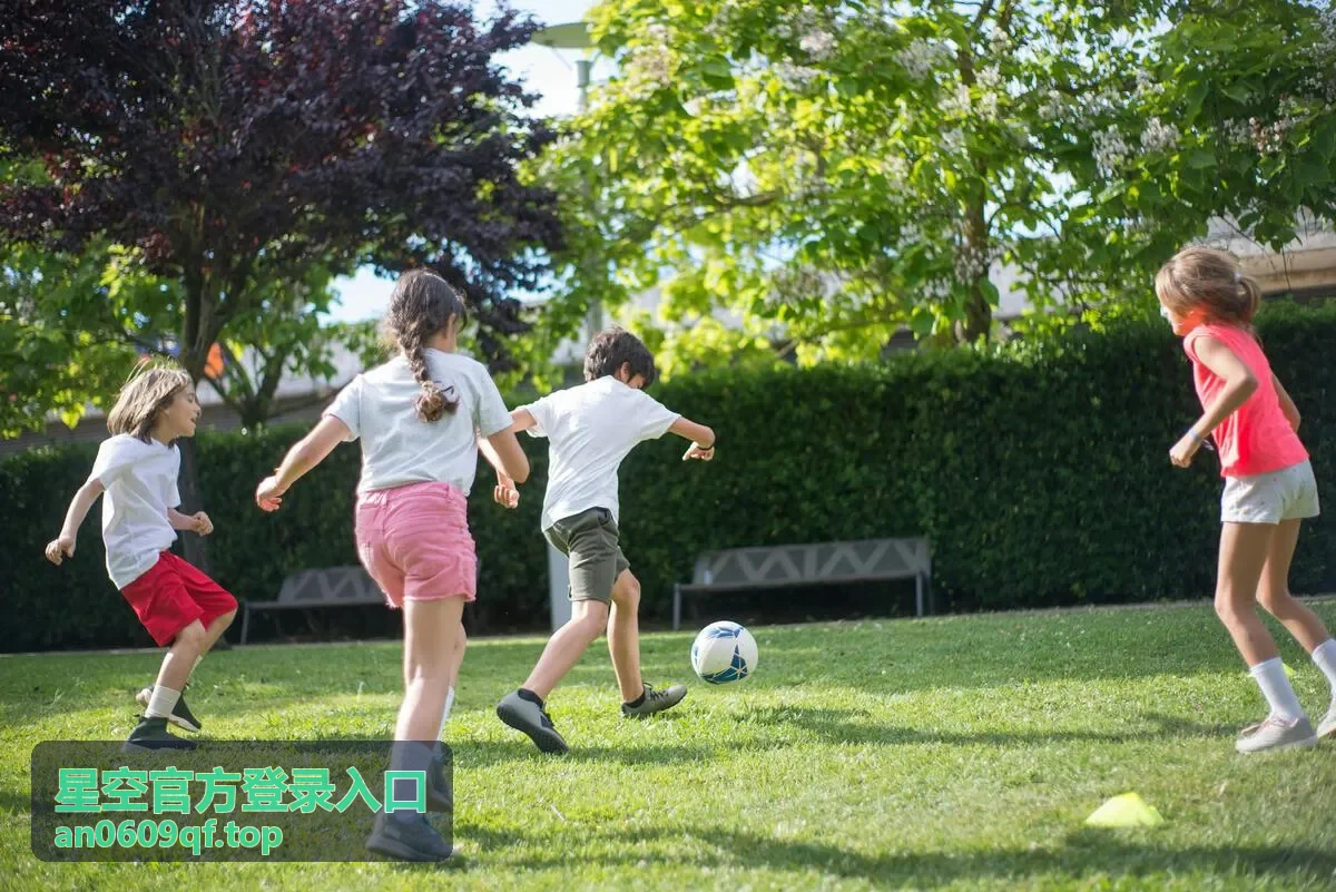 星空官方登录入口平板设备适配封面